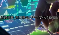 四川黄金：半年度业绩预增51